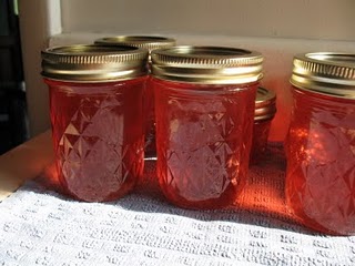 Peach Jelly – the easy way! – Raising Homemakers