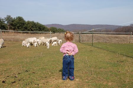 She looks well to the way of her household: Teach Her to Pray