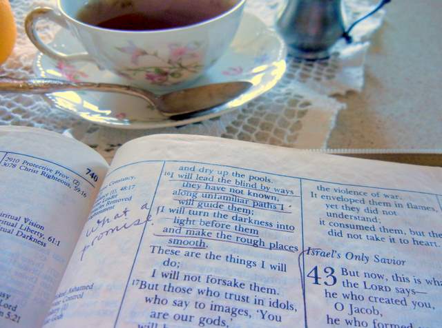 Bible In 90 Days ~ What Does That Have To Do With Cleaning?