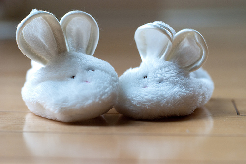 Do you think the Proverbs 31 woman looked for wool and flax in her bunny slippers?