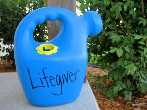 Lifegiver (An Object Lesson)